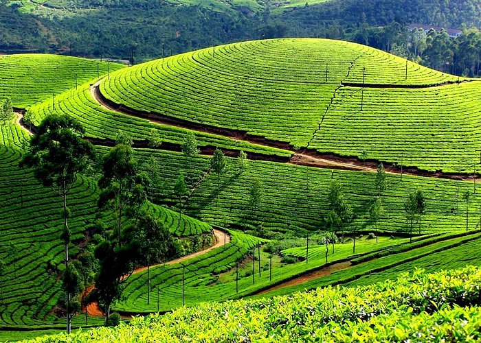 Munnar